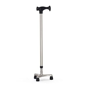 Walking Stick